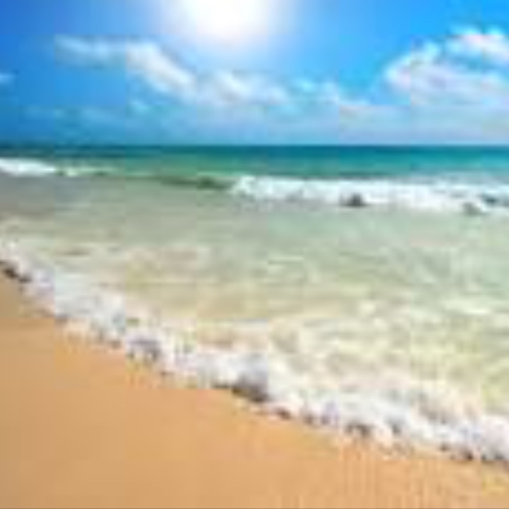 Meet your Posher, Robin